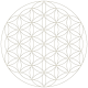 1200px flower of life small svg